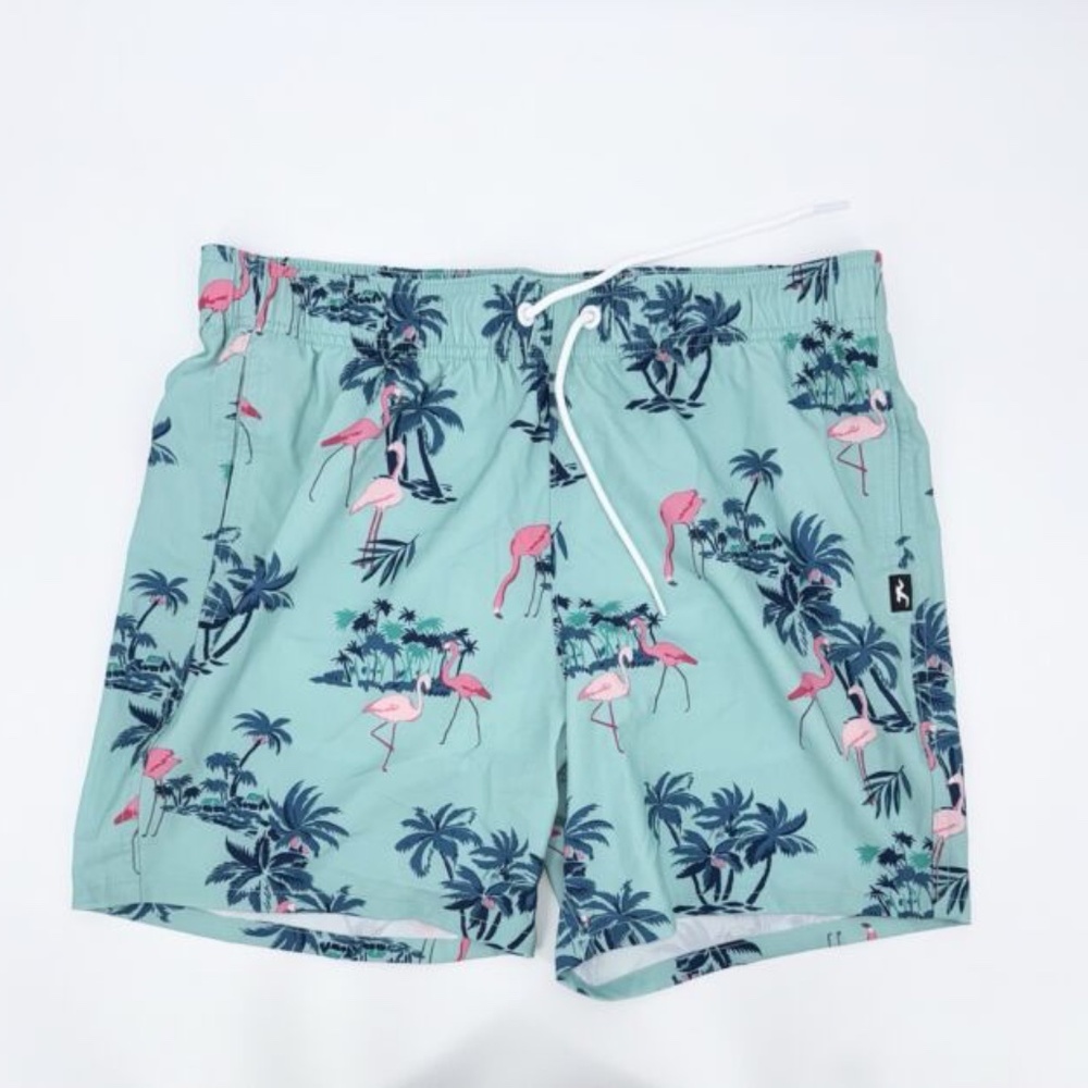 HOLLISTER Flamingo Swim Trunks